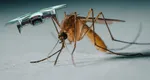 A fost inventată drona care vânează țânțarii în zbor. Cum funcționează tehnologia care promite să reducă de 100 de ori costurile de dezinsecție