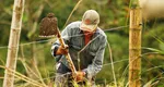 Ministrul Mediului anunță închisoare pentru fermierii care folosesc pesticide și apă pentru irigarea culturilor