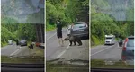 Un urs extrem de tacticos a reușit să se apropie periculos de un turist pe Transfăgărășan. Bărbatul n-a schițat niciun gest când animalul i-a mirosit gambele
