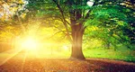 Prognoza meteo. Final căduros de lună, cum va fi vremea până la finalul săptămânii viitoare