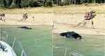 Autoturism scufundat în Lacul Bicaz, după ce proprietarul a vrut să îl spele „ecologic” și gratis. Val de comentarii ironice: „BMW-urile numai acolo se spală, este specificat în cartea tehnică!”