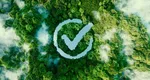 Legea biodiversităţii, votată de Camera Deputaţilor. Mircea Abrudean: „A fost modificată prea mult. PSD trebuie să își asume întreaga responsabilitate”