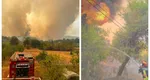 Peste 2.700 de hectare de teren, mistuite de flăcări în ultimele zile. Incendiu puternic și luni, în Deltă! VIDEO