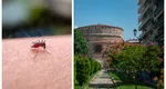 Alertă de West Nile într-o țară unde merg în vacanță mulți români! Zeci de cazuri noi pe săptămână, nouă oameni decedați