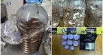 Procurorii DIICOT au oprit o „ceremonie spirituală” cu șamani, Ayahuasca și mescalină. Taxa de participare ajungea până la 650 de euro