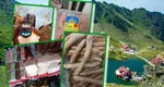 Produse expirate, carne ținută în soare și frigidere murdare, la Bâlea Lac. ANPC a dat amenzi de pestre 300.000 lei