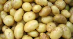Bani de la stat pentru agricultorii români. Producătorii de cartofi de consum pot primi până la 300 euro/hectar