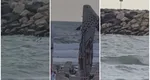 Dronă descoperită de turiști în mare, la Costinești: „Ia uitați cât de bine se vede la mine. Foarte bine se vede. Dronă e”. Plaja a fost evacuată