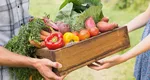 Amenzi în valoare de 20.000 de lei pentru fermierii care nu raportează stocurile produselor agricole și alimentare