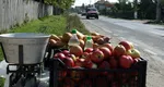 Sancțiuni aplicate celor care vând legume și fructe pe marginea drumului. Unde au făcut polițiștii controale