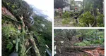 Furtună violentă după caniculă. Stâlpi de electricitate şi copaci cazuţi peste locuinţe și pe carosabil