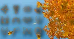 Zodiile nevoite să ia decizii clare la începutul lunii septembrie. Nativii care nu vor mai putea evita adevărurile