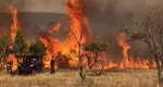 Incendii devastatoare din cauza caniculei. Flăcările imense au ajuns lângă casele oamenilor, pompierii au intervenit ore întregi pentru a opri extinderea focului