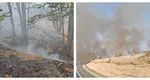 Ard munții în vestul țării. Flăcările au cuprins peste 250 de hectare, sute de oameni se luptă cu focul în apropiere de Băile Herculane