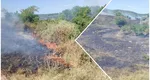 Incendiu de vegetație extins pe 20 de hectare în județul Buzău. A fost emis un mesaj RO-Alert