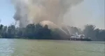 Incendiu puternic în Delta Dunării, ard 700 de hectare de vegetație uscată VIDEO