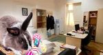 Zile libere 2027: Perioadele în care angajații pot avea cele mai lungi minivacanțe. Când pică Paștele și Rusaliile