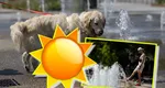Alertele meteo cod roșu și portocaliu de caniculă au fost extinse. ANM anunță trei zile de caniculă, cu temperaturi de până la 41 grade, nopţi tropicale şi instabilitate atmosferică