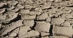 Orașele din România în care se vor înregistra 43 de grade Celsius la umbră. Zona este cunoscută sub numele de ”Sahara României”
