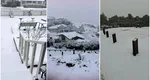 Ninge ca-n povești în capitală, la început de august! Zăpadă după 15 ani, oamenii schiază pe străzi VIDEO