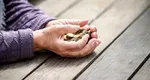 Speranțe pentru seniori. Cu cât ar putea crește pensiile de la 1 ianuarie 2027
