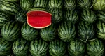 După ce dată nu mai sunt buni pepenii verzi. Cele trei semne care arată că fructul nu mai poate fi consumat