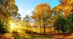 Prognoza meteo. Weekend de vară, de luni revin ploile în toată ţara