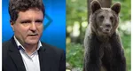 Nicuşor Dan insistă cu salvarea urşilor „maidanezi”. Respins de CCR, preşedintele a retrimis legea care permite împuşcarea fiarelor la Parlament