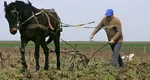 Ce salarii sunt în agricultură în 2026. Cât câștigă un angajat și care este diferența față de media națională
