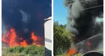 Un avion F16 s-a prăbușit și a luat foc, după ce a lovit o pasăre. Imagini șocante