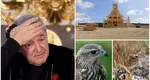 Amendă imensă decisă de instanţă pentru fiica lui Gigi Becali. Procesul nu s-a încheiat