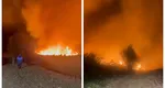 Incendiu de vegetație în Delta Banatului. Fumul a ajuns până în Timișoara