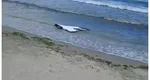 Dronă găsită joi pe o plajă din Corbu. Turiștii care se plimbau în zonă au alertat autoritățile
