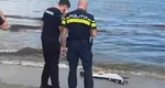 Fragment de dronă descoperit pe plaja Modern din Constanța. Nu ar avea încărcătură explozibilă VIDEO