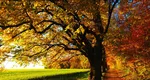 Ce se întâmplă cu vremea în octombrie. Meteorologii Accuweather anunță temperaturi de 25 de grade