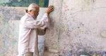 Pictorul Horea Paştina, aniversat la Galeria Romana în mijlocul lucrărilor sale