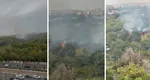 EXCLUSIV Incendiu în Delta Văcărești! Fumul este vizibil de la distanță, iar pompierii au ajuns la fața locului. VIDEO