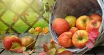 Prognoza ANM lunară. Toamnă frumoasă, cu ploi răzleţe şi temperaturi ridicate