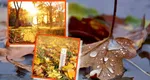 Prognoza meteo 15 septembrie. Vreme se încălzește în toată țara, dar va mai ploua