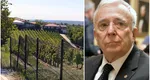 Afacerea cu vinuri a lui Mugur Isărescu a ajuns la venituri uriaşe. Leul e la pământ, dar firma guvernatorului BNR e în top!