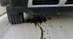 Ce este pata de lichid pe care o vezi sub mașină după ce oprești motorul. Culoarea și mirosul îți pot spune dacă este o problemă gravă