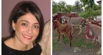 A trăit ani buni în Londra și Bordeaux, dar s-a întors în Gorj și a început o afacere la care puțini s-ar fi gândit. Povestea Paulei, femeia care a transformat o idee într-o afacere de succes