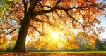 Prognoza meteo. Vreme de vară târzie în toată România