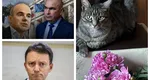 „Disidentul” Rareş Bogdan îl atacă dur pe Bolojan, dar cere vot pentru Guvernul Mureșan: „Să taie bani era în stare și motanul Tom, putea fi şi el premier”