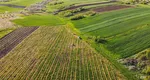 Terenurile agricole mari din România s-au ieftinit considerabil. Cât costă hectarul acum