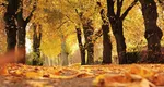Prognoza meteo lunară. Vara se prelungeşte până în octombrie. Cum se anunţă iarna 2026–2027 în România