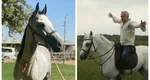 Țara care a dezvoltat ”industria calului” fără să aibă nevoie de un Călin Georgescu. Rasa specială crescută acolo, veche de peste 2.000 de ani!