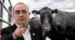 Gigi Nețoiu, amendat de Apele Române pentru ferma de 6 milioane de euro. Ce au descoperit inspectorii