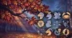 Horoscop vineri, 16 octombrie 2026. Trei zodii vor fi răsplătite de Univers