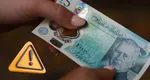 Se schimbă banii. Pufinul, bufniţa de hambare, bondarul şi ariciul elimină figurile istorice de pe bancnote